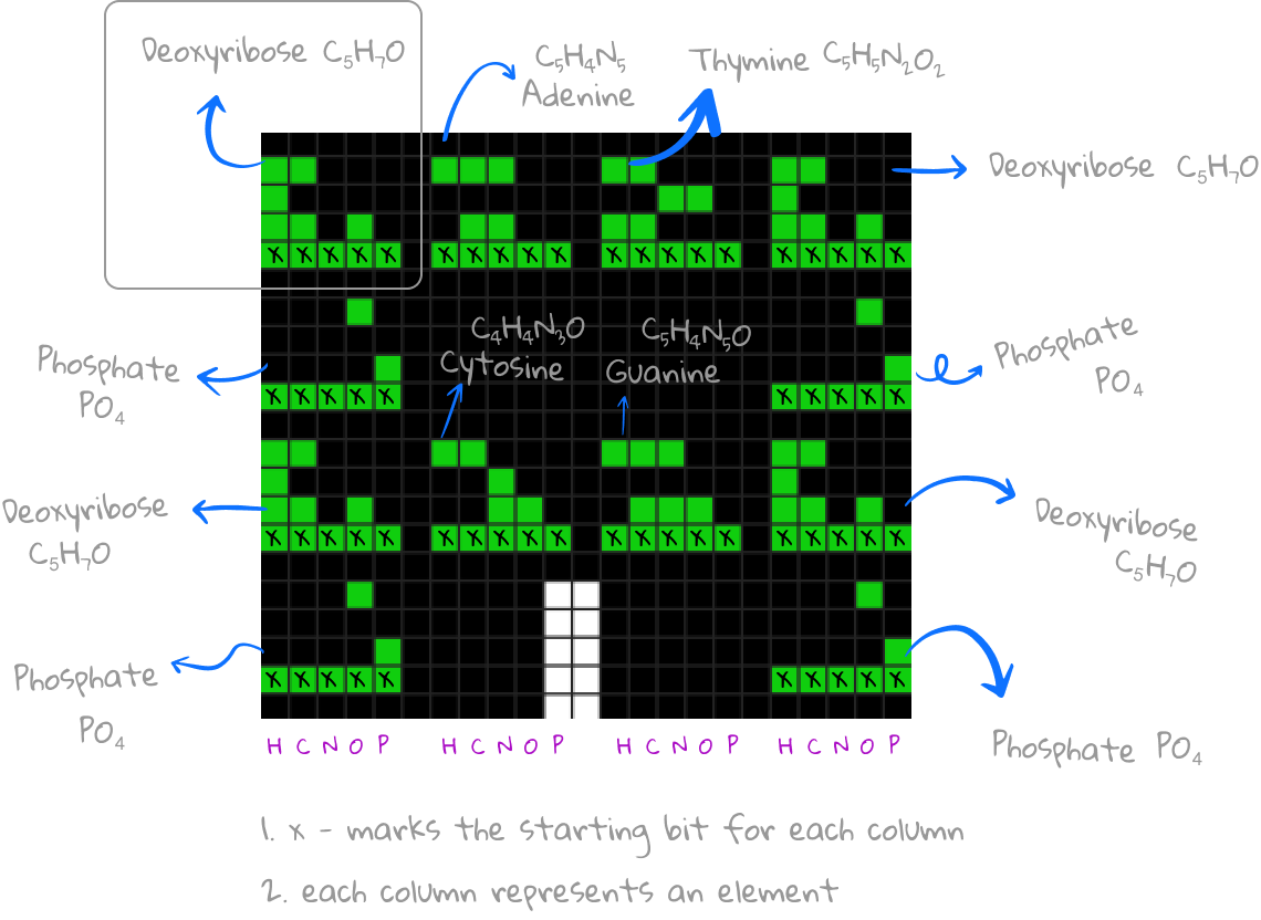 The Blueprint of Life: DNA Structure Encoded in Binary, Revealing the Essence of Earth's Biology