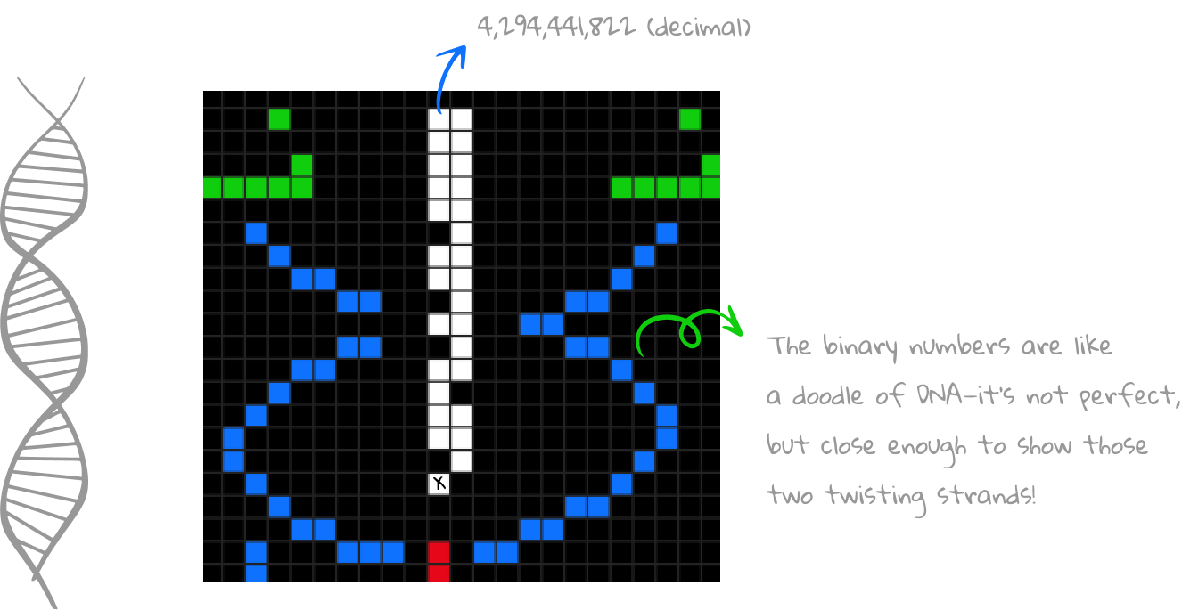 The Blueprint of Life: DNA Structure Encoded in Binary, Revealing the Essence of Earth's Biology